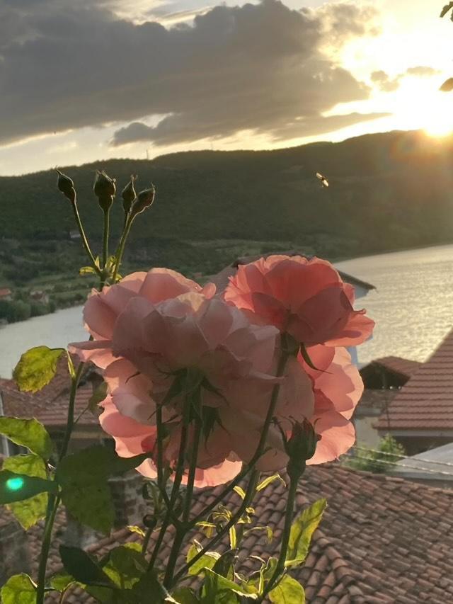 Roleo Guest House Lin Экстерьер фото